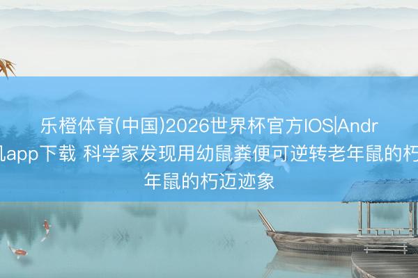 乐橙体育(中国)2026世界杯官方IOS|Android手机app下载 科学家发现用幼鼠粪便可逆转老年鼠的朽迈迹象