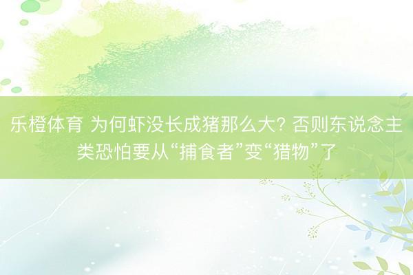 乐橙体育 为何虾没长成猪那么大? 否则东说念主类恐怕要从“捕食者”变“猎物”了
