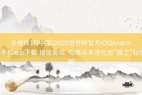 乐橙体育(中国)2026世界杯官方IOS|Android手机app下载 接洽发现: 鸟类从未进化出“竣工”翅膀