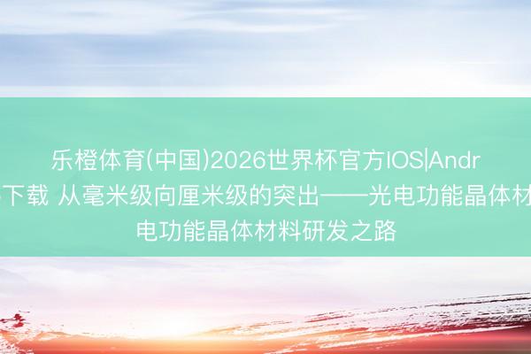 乐橙体育(中国)2026世界杯官方IOS|Android手机app下载 从毫米级向厘米级的突出——光电功能晶体材料研发之路