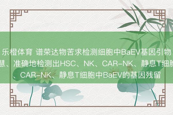 乐橙体育 谱荣达物苦求检测细胞中BaEV基因引物和探针专利， 梗概聪慧、准确地检测出HSC、NK、CAR-NK、静息T细胞中BaEV的基因残留