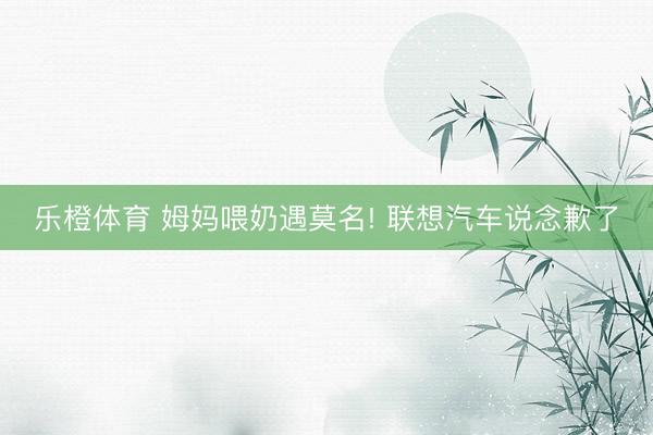 乐橙体育 姆妈喂奶遇莫名! 联想汽车说念歉了