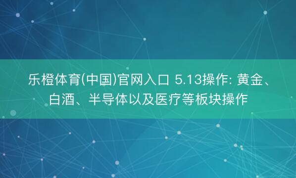 乐橙体育(中国)官网入口 5.13操作: 黄金、白酒、半导体以及医疗等板块操作