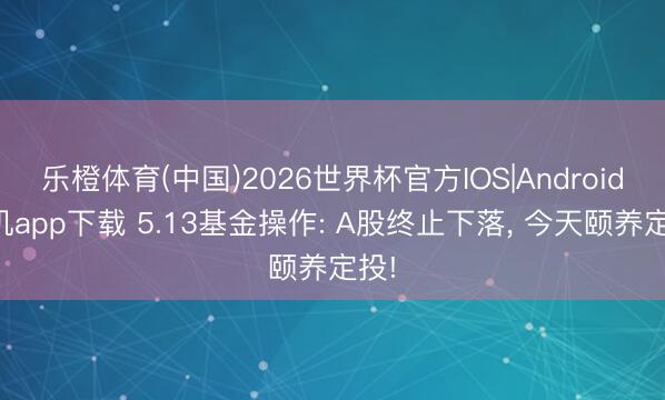 乐橙体育(中国)2026世界杯官方IOS|Android手机app下载 5.13基金操作: A股终止下落， 今天颐养定投!