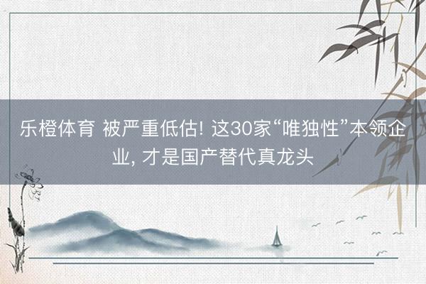乐橙体育 被严重低估! 这30家“唯独性”本领企业， 才是国产替代真龙头