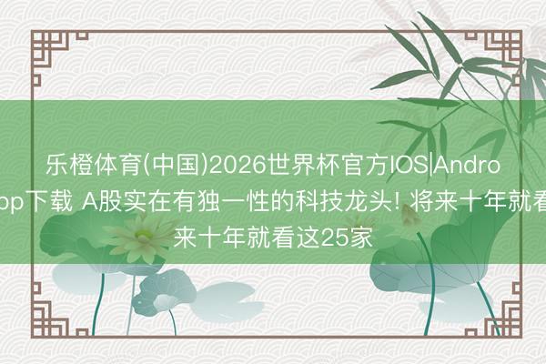 乐橙体育(中国)2026世界杯官方IOS|Android手机app下载 A股实在有独一性的科技龙头! 将来十年就看这25家