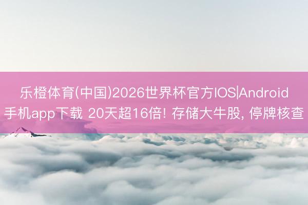 乐橙体育(中国)2026世界杯官方IOS|Android手机app下载 20天超16倍! 存储大牛股， 停牌核查