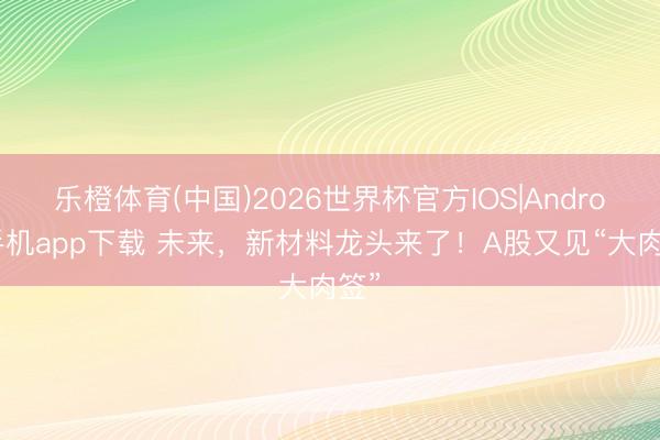 乐橙体育(中国)2026世界杯官方IOS|Android手机app下载 未来，新材料龙头来了！A股又见“大肉签”