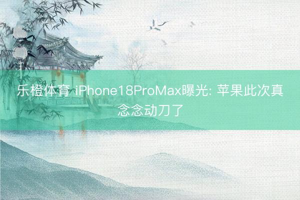 乐橙体育 iPhone18ProMax曝光: 苹果此次真念念动刀了