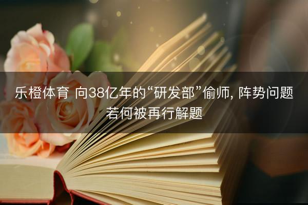 乐橙体育 向38亿年的“研发部”偷师， 阵势问题若何被再行解题