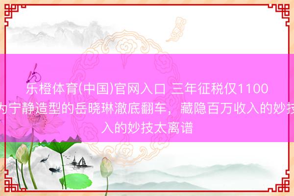 乐橙体育(中国)官网入口 三年征税仅1100元?曾为宁静造型的岳晓琳澈底翻车,藏隐百万收入的妙技太离谱