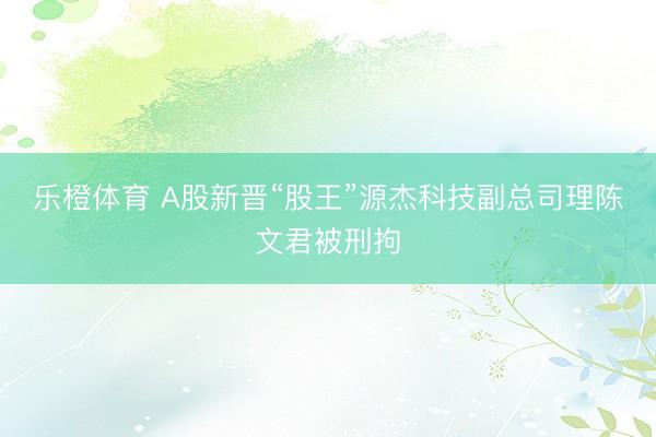 乐橙体育 A股新晋“股王”源杰科技副总司理陈文君被刑拘