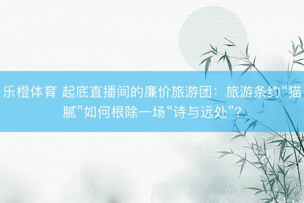 乐橙体育 起底直播间的廉价旅游团:旅游条约“猫腻”如何根除一场“诗与远处”?