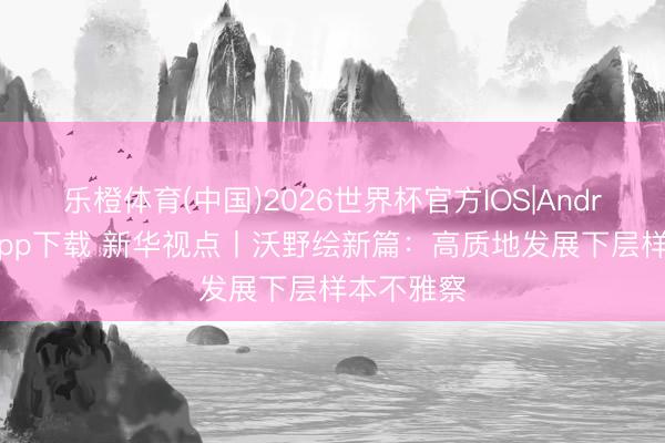 乐橙体育(中国)2026世界杯官方IOS|Android手机app下载 新华视点丨沃野绘新篇：高质地发展下层样本不雅察